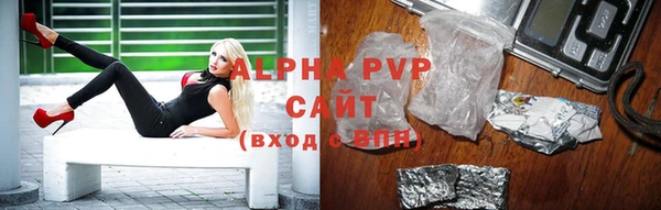 стаф Алексин
