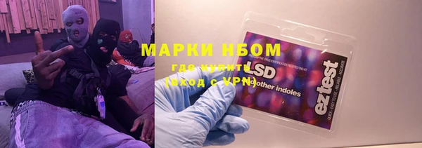 хмурый Алзамай