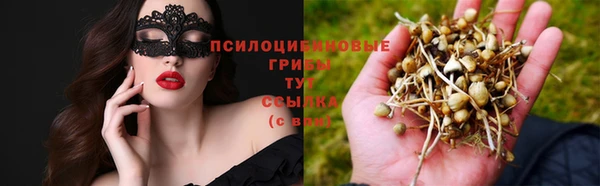 марки nbome Алексеевка