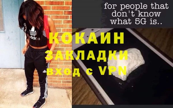 хмурый Алзамай
