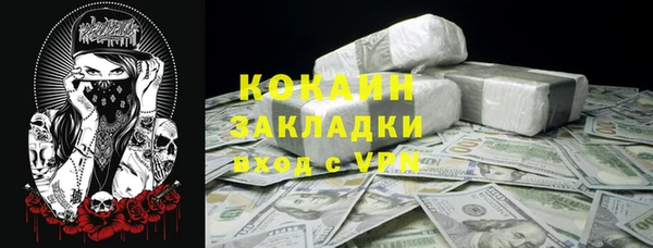 стаф Алексин