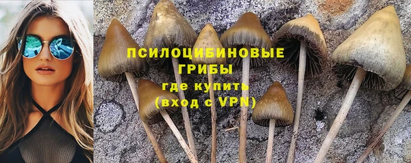 марки nbome Алексеевка