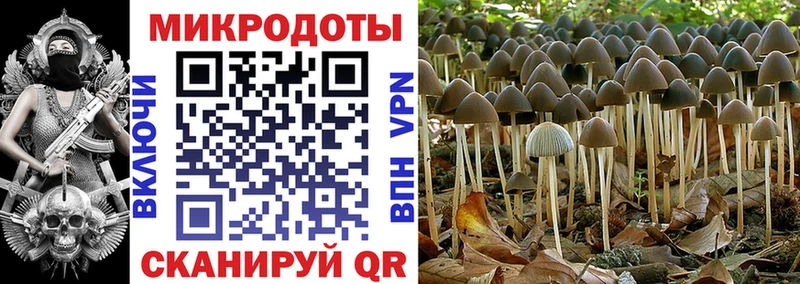 Галлюциногенные грибы Cubensis  Татарск 